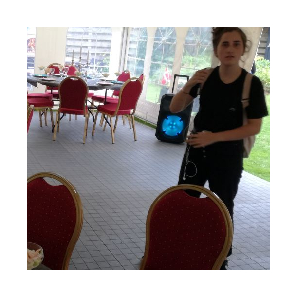 Sony Party Hjtaler 500 W