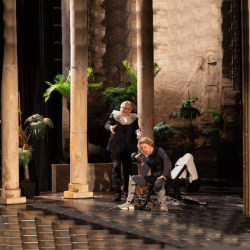 Palmer ca 200 cm H�je