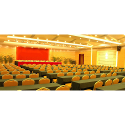 President Banquet Guld Stol