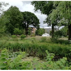 Partytelte 9 Meter Bred