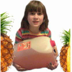 Ananas Slush Ice 10 kg.