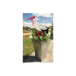 Friisenborg Stork barnedb 50 cm