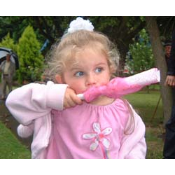 Candyfloss Pinde 100 styk