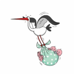 Tillykke / Indbydelse Kort