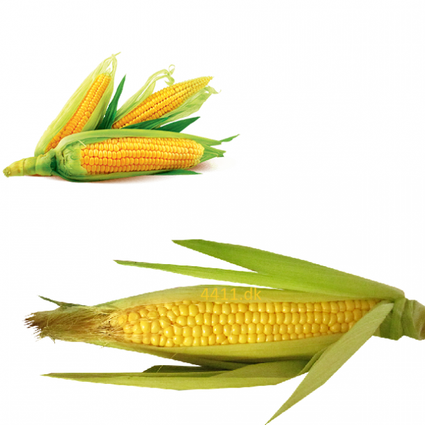 Portionspakning til 5,8 ltr Popcorn