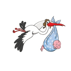 Tillykke / Indbydelse Kort